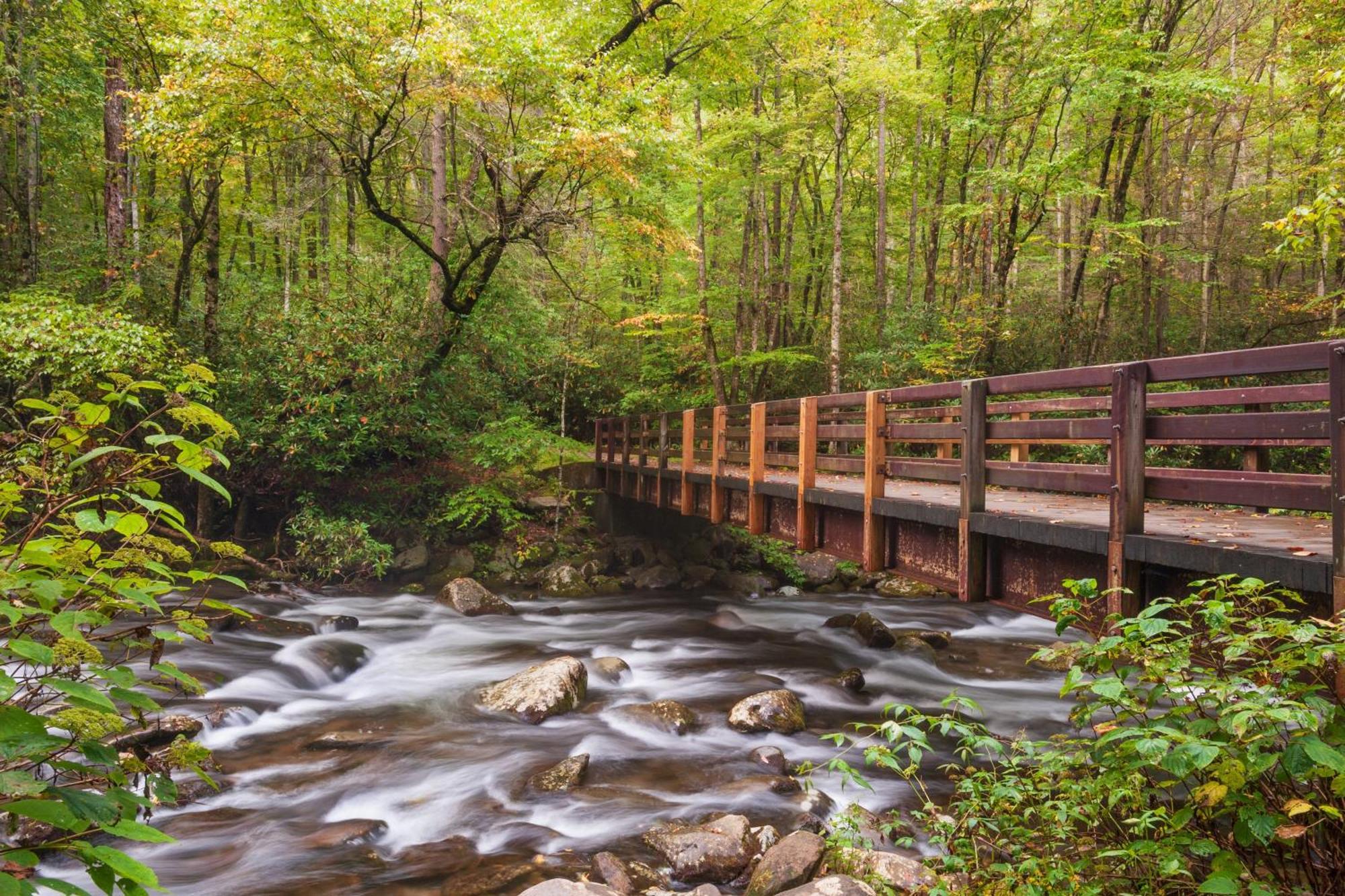 Maple Trails, Wifi, 1089 Free Tickets Each Paid Day, Dollywood And More Гетлинбург Екстериор снимка